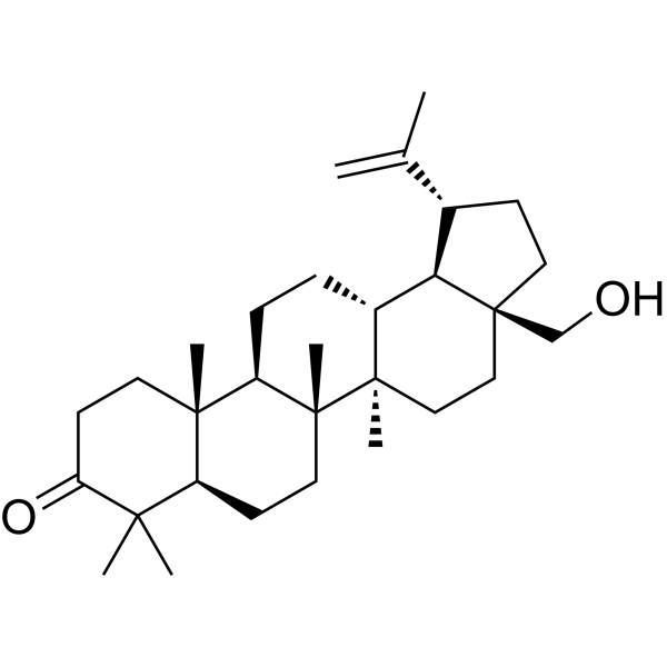 3-Oxobetulin 7020-34-0